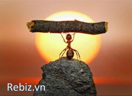 Đừng tức giận với những kẻ chê bai bạn khi bạn thất bại